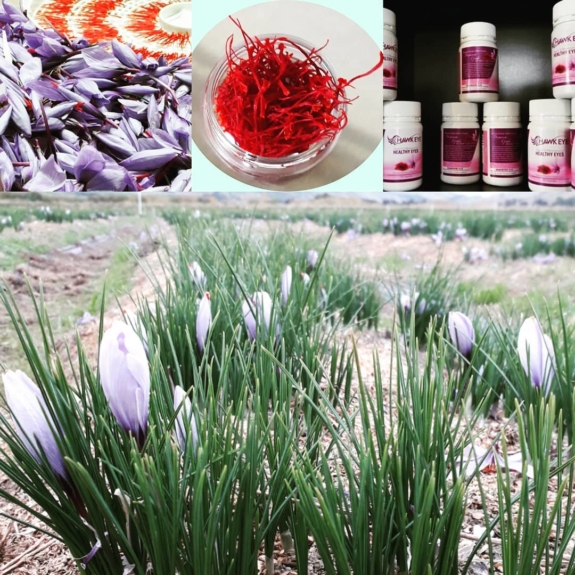 Support local businesses when you come to stay in the Teviot Valley. Book a night in our cabin and we can organise a visit to Wynyard Estate Saffron farm. 
The colours of the flowers and saffron are so vibrant!
Learn other uses for saffron other than colouring your rice